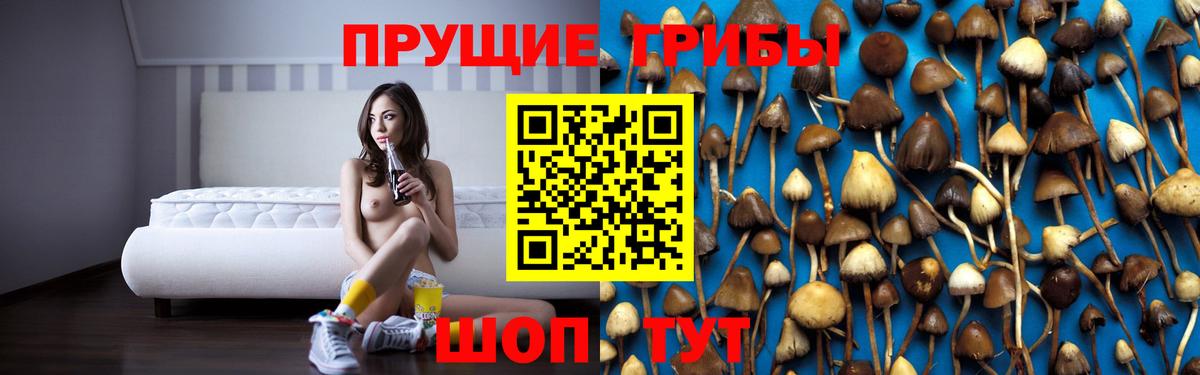 Гай  Псилоцибиновые грибы ЛСД  Вход с VPN 